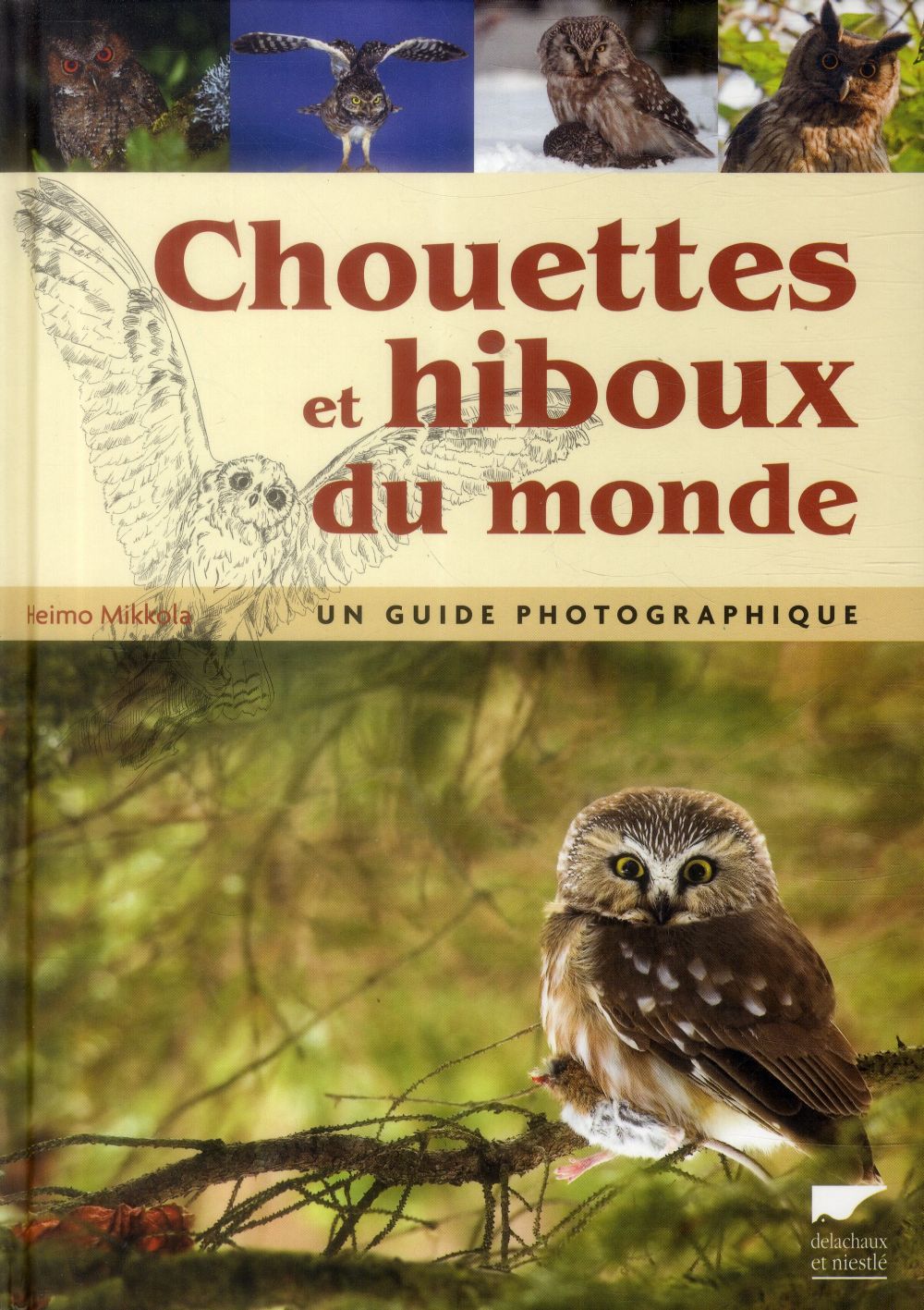 Chouettes et hiboux du monde ; un guide photographique