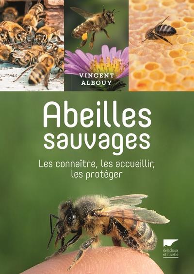 Abeilles sauvages ; les connaître, les accueillir, les protéger