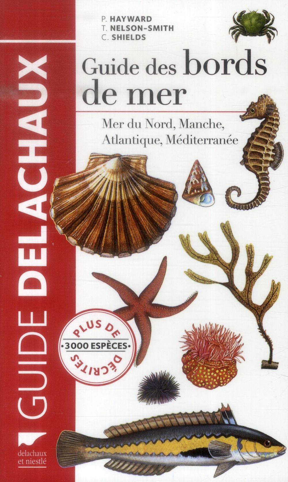 Guide des bords de mer ; mer du Nord, Manche, Atlantique, Méditerranée - flash vidéo