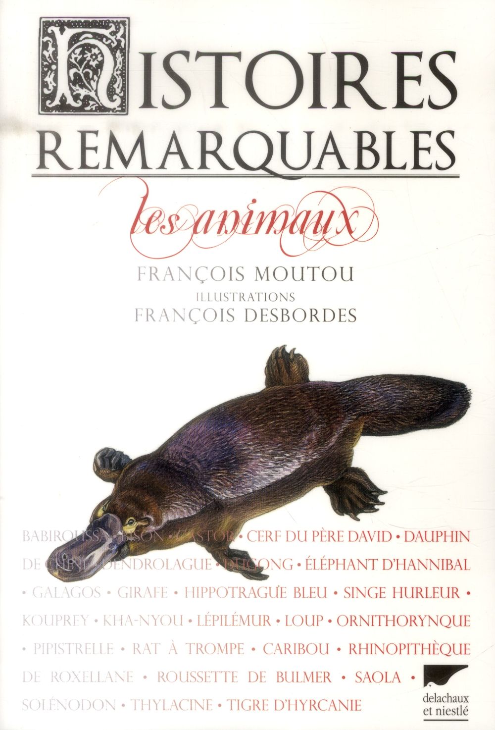 Histoires remarquables ; les animaux - flash vidéo