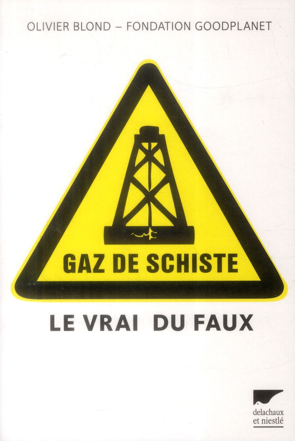 Gaz de schiste - flash vidéo