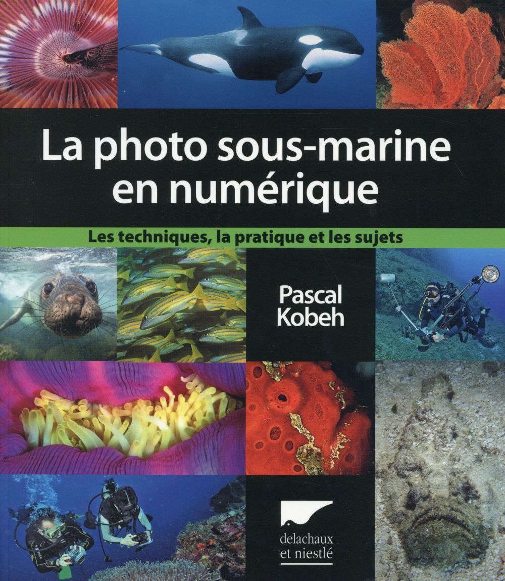 La photographie sous-marine en numérique ; les techniques, la pratique et les sujets - flash vidéo
