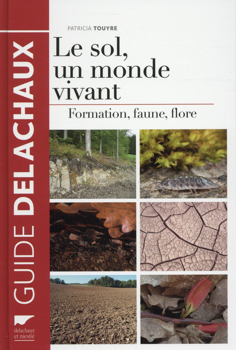 Le sol, un monde vivant ; formation, faune, flore - flash vidéo
