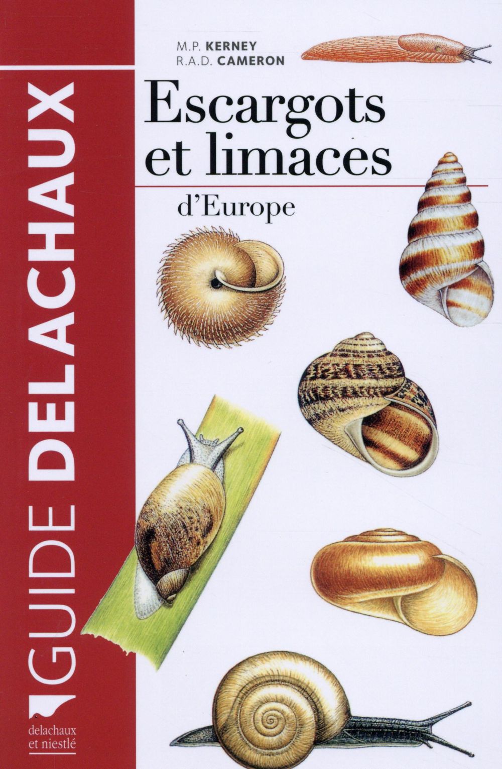 Escargots et limaces d'Europe