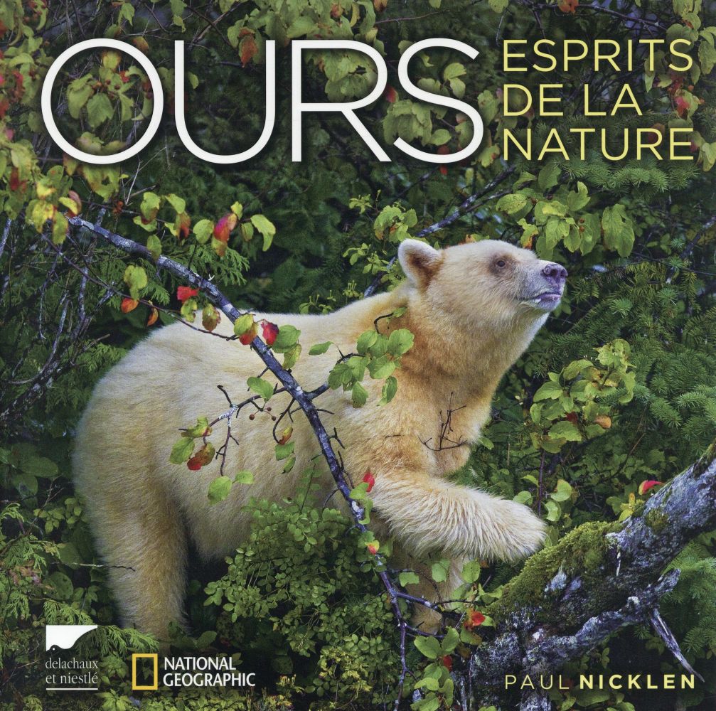 Ours ; esprits de la nature