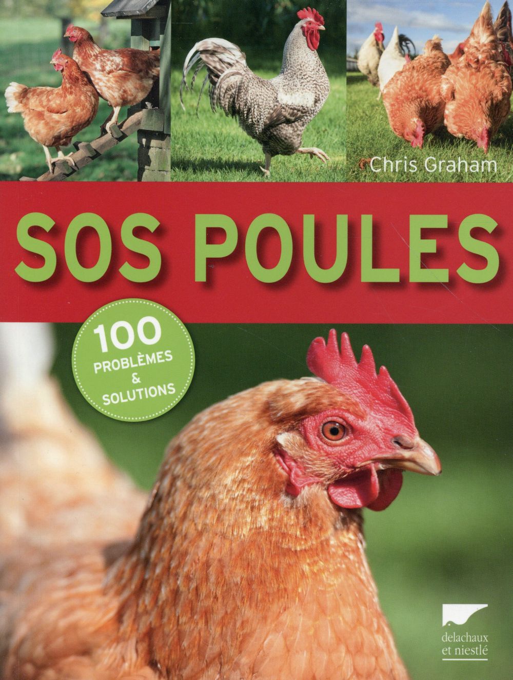Sos poules ; 100 problèmes et solutions - flash vidéo