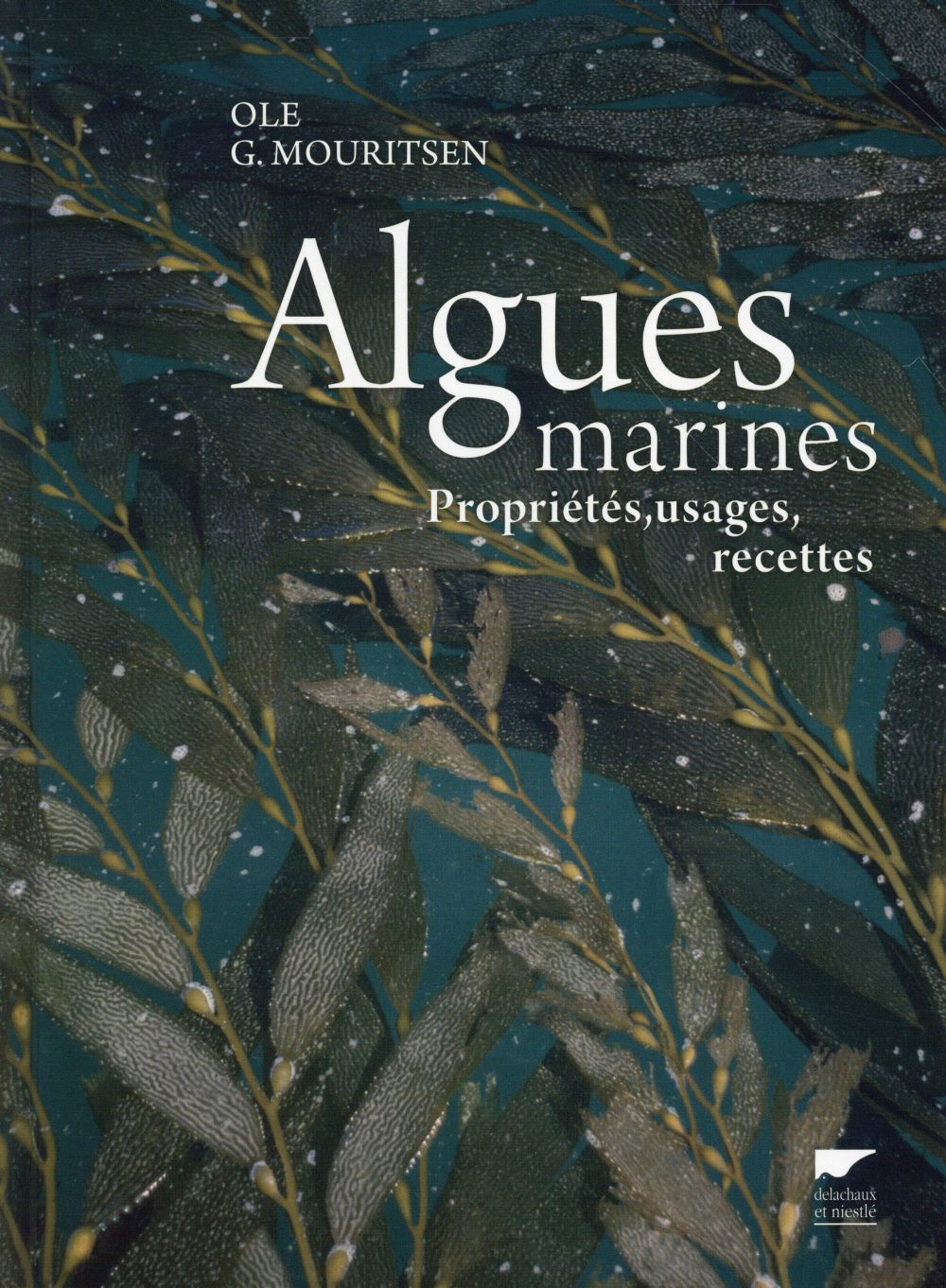 Algues marines ; propriétés, usages, recettes - flash vidéo