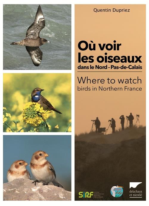 Où voir les oiseaux dans le Nord-Pas-de-Calais ?