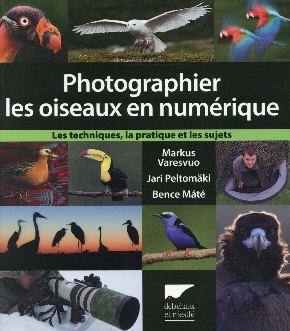 Photographier les oiseaux en numérique ; les techniques, la pratique et les sujets