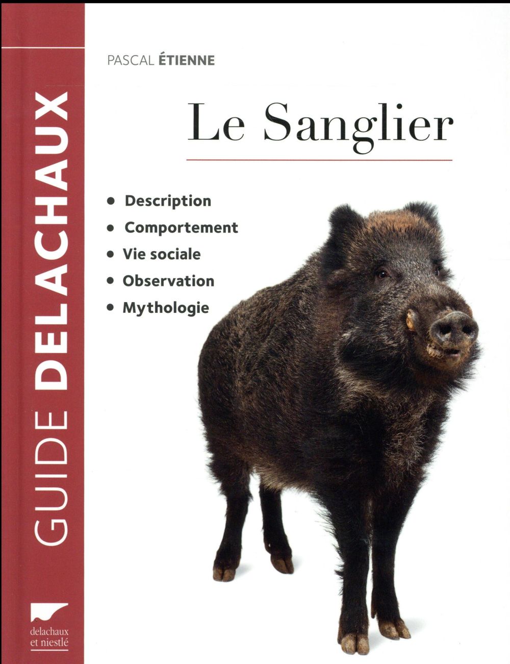 Le sanglier