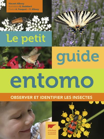 Le petit guide entomo ; observer et identifier les insectes