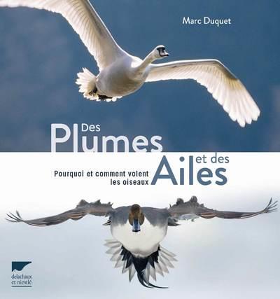 Des plumes et des ailes ; pourquoi et comment volent les oiseaux