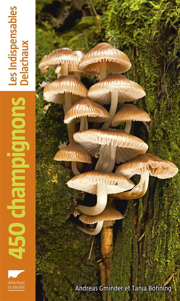 450 champignons - flash vidéo