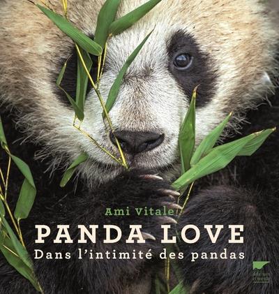 Panda love ; dans l'intimité des pandas - flash vidéo