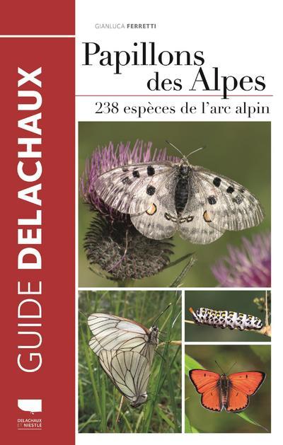 Papillons des Alpes ; 238 espèces de l'arc alpin