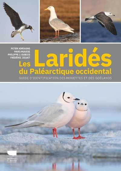 Les laridés du paléarctique occidental : guide d'identification des mouettes et des goëlands - flash vidéo