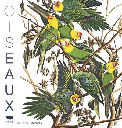 Oiseaux - flash vidéo