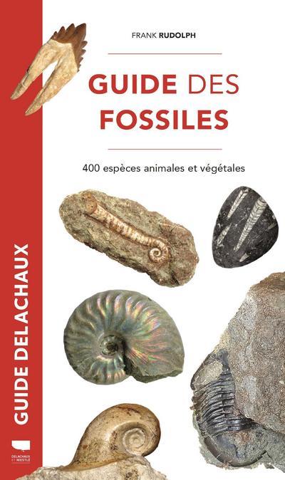 Guide des fossiles ; 400 espèces fossiles végétales et animales