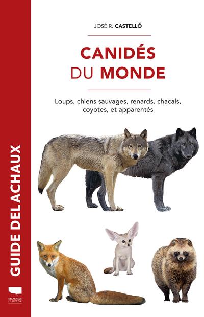 Canidés du monde ; loups, chiens sauvages, renards, chacals, coyotes, et apparentés