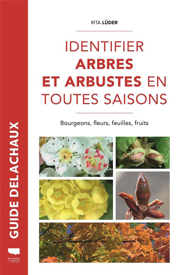 Identifier arbres et arbustes en toutes saisons ; bourgeons, fleurs, feuilles, fruits