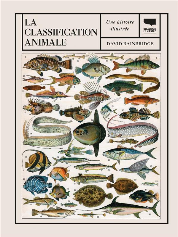 La classification animale ; une histoire illustrée - flash vidéo