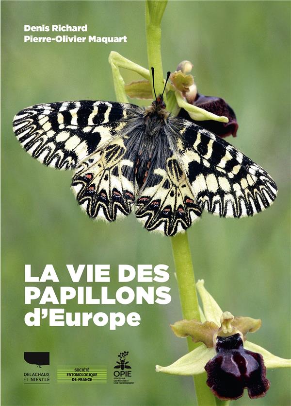 La vie des papillons d'Europe - flash vidéo