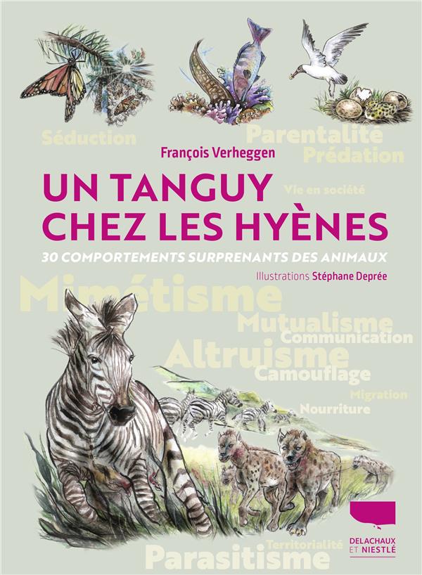 Un Tanguy chez les hyènes : 30 comportements surprenants des animaux - flash vidéo