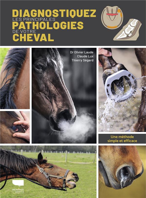 Diagnostiquez les principales pathologies de votre cheval : une méthode simple et efficace - flash vidéo