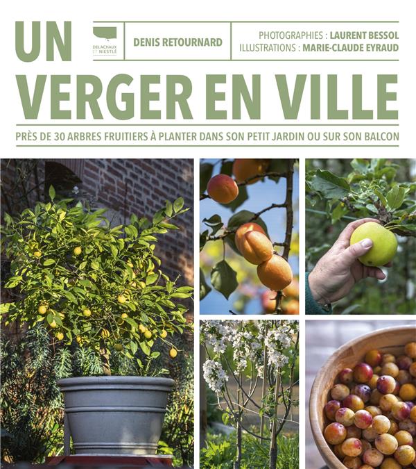 Un verger en ville : près de 30 arbres fruitiers à planter dans son petit jardin ou sur son balcon - flash vidéo
