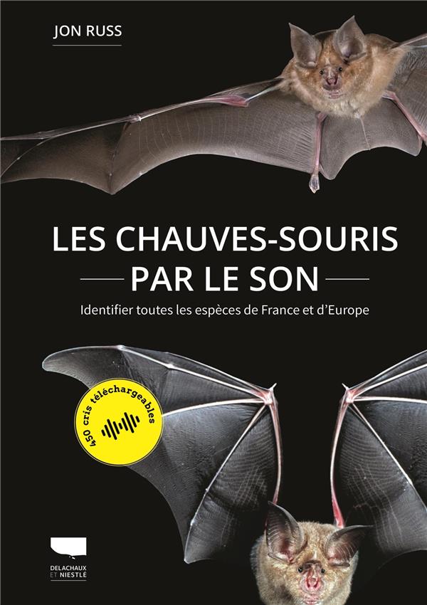 Les chauves-souris par le son : identifier toutes les espèces de France et d'Europe - flash vidéo