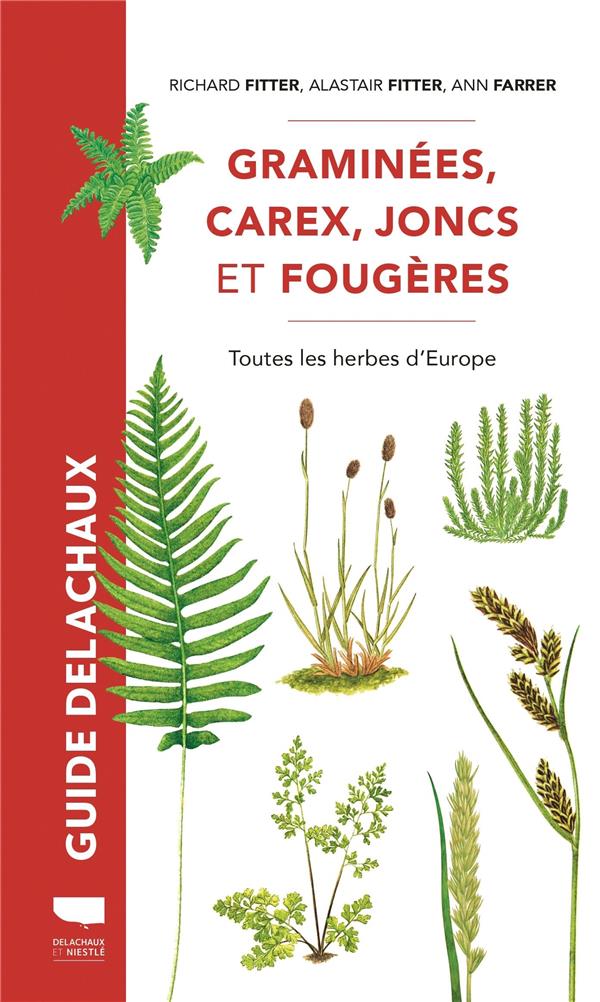 Guide Delachaux : Graminées, carex, joncs et fougères : Toutes les herbes d'Europe