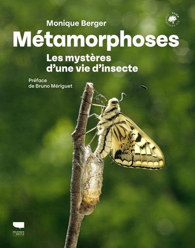 Métamorphoses : Les mystères d'une vie d'insecte