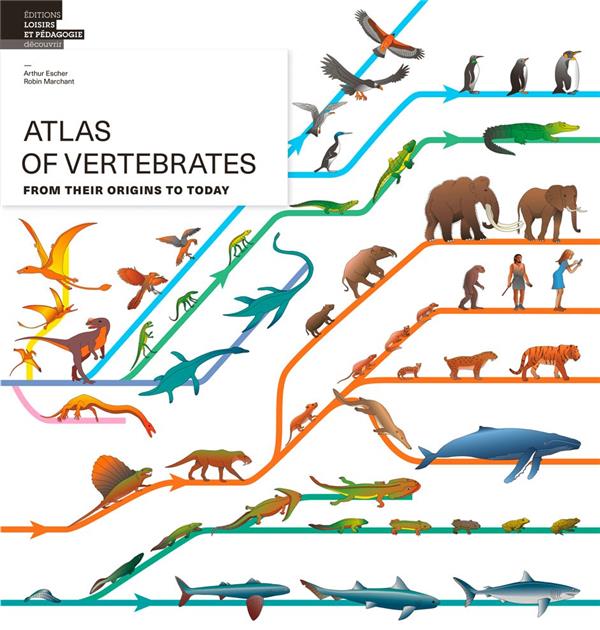 Atlas of vertebrates ; from their origins to today