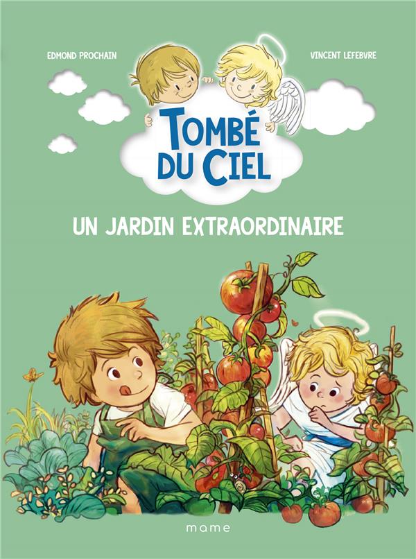 Tombé du ciel Tome 8 : un jardin extraordinaire