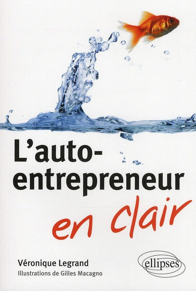 L'auto-entrepreneur - flash vidéo