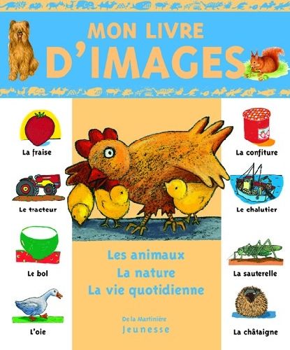 Mon livre d'images - flash vidéo