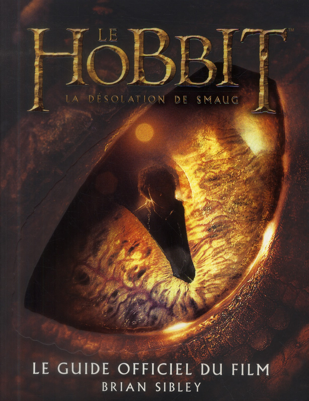 Le Hobbit ; la désolation de Smaug ; le guide officiel du film - flash vidéo