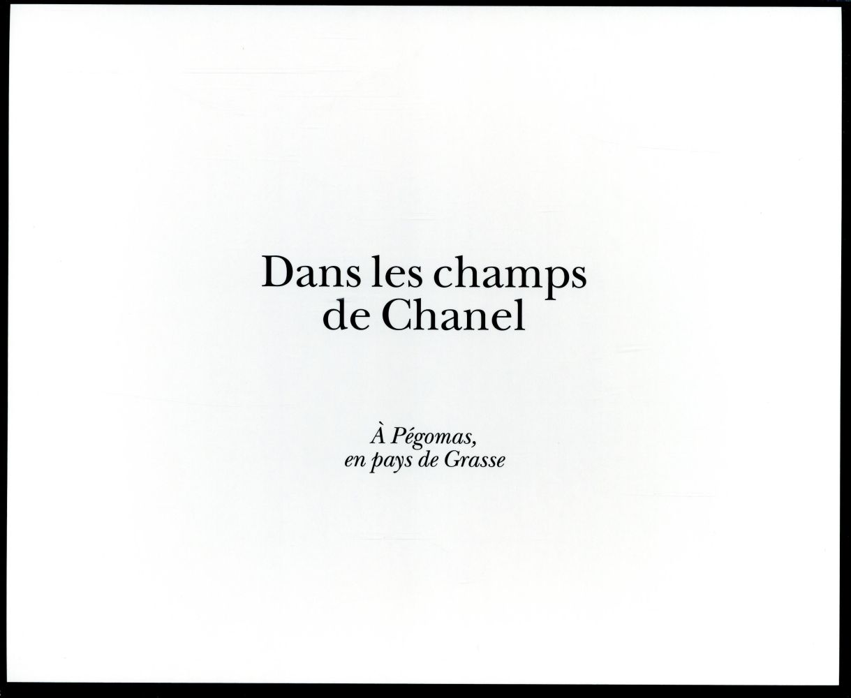 Dans les champs de Chanel ; à Pégomas, pays de Grasse