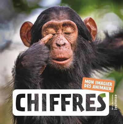 Chiffres ; mon imagier des animaux - flash vidéo