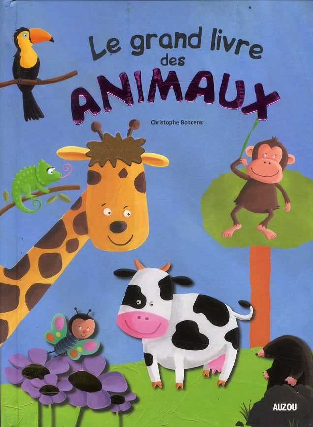 Mon grand livre des animaux - flash vidéo