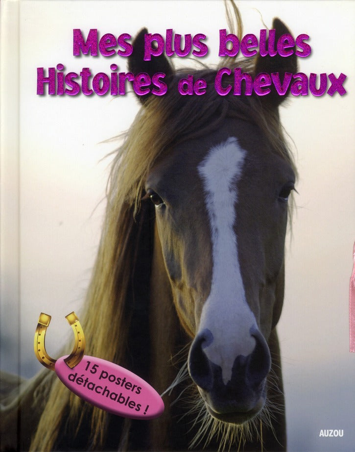 Mon livre posters chevaux - flash vidéo