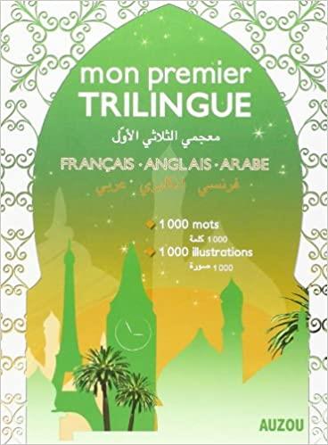 Mon premier dictionnaire trilingue francais-anglais-arabe - flash vidéo