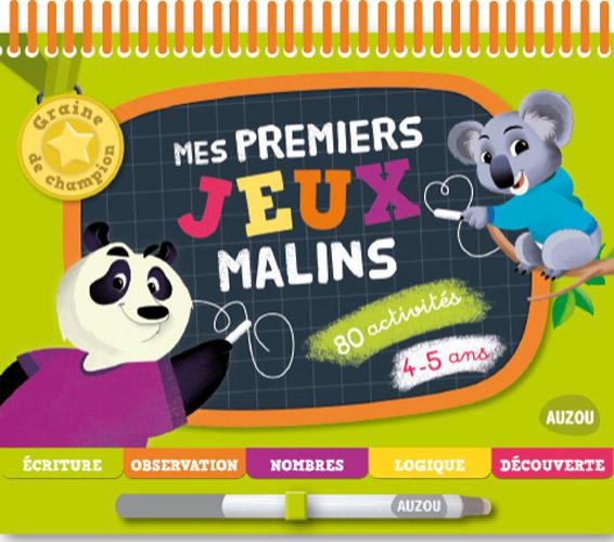 Graine de champion : mes premiers jeux malins 4-5 ans - flash vidéo