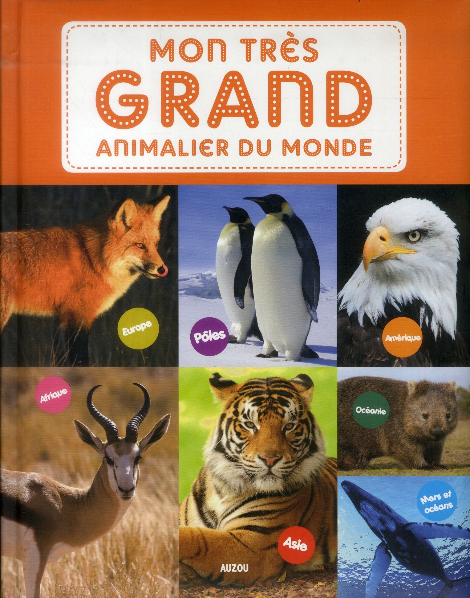 Mon très grand animalier du monde - flash vidéo