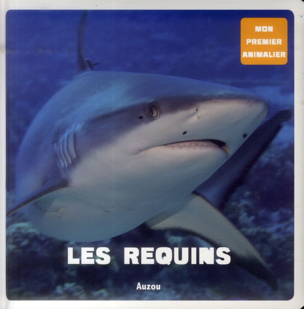 Les requins - flash vidéo