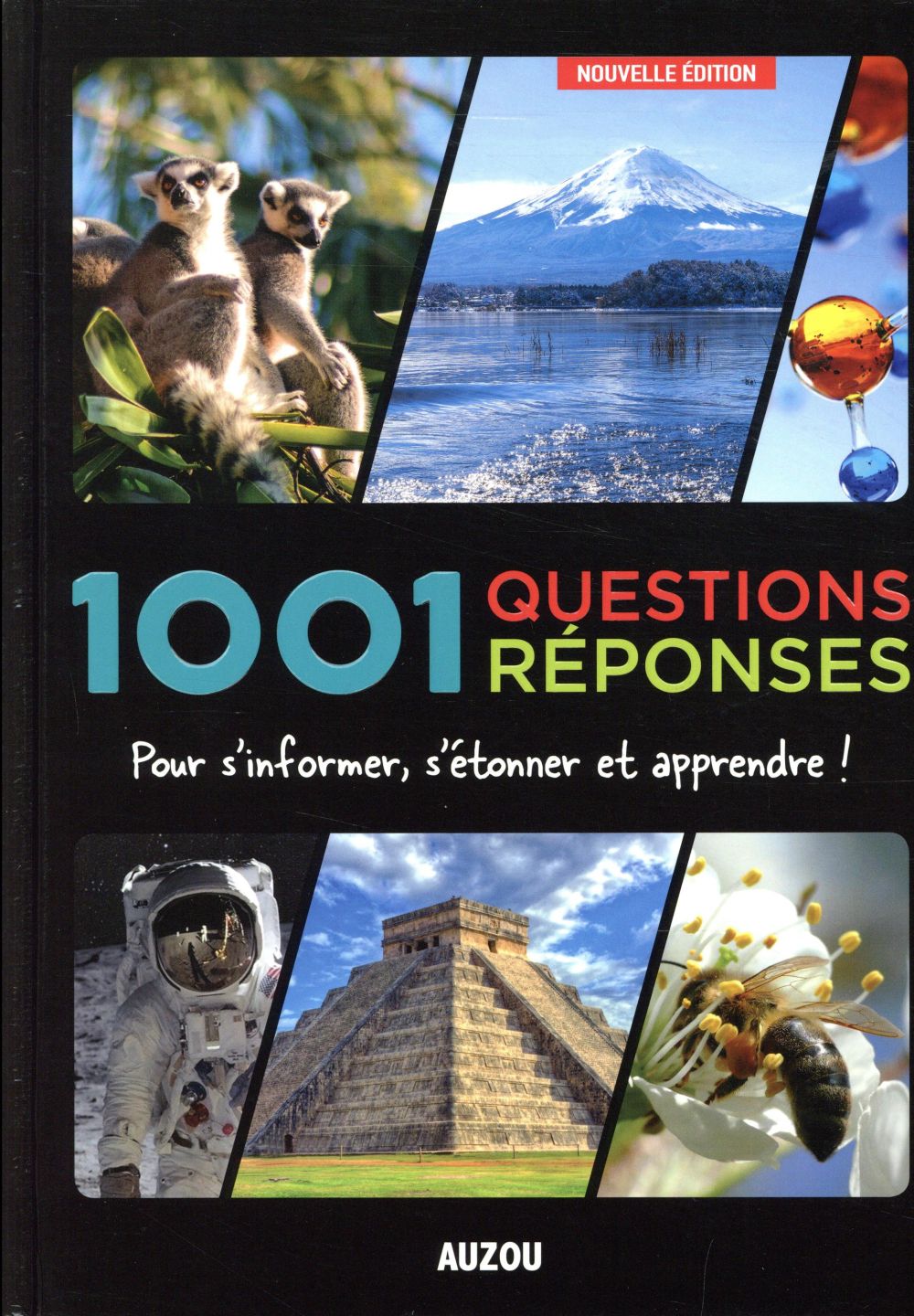 1001 questions réponses ; pour s'informer, s'étonner et apprendre !