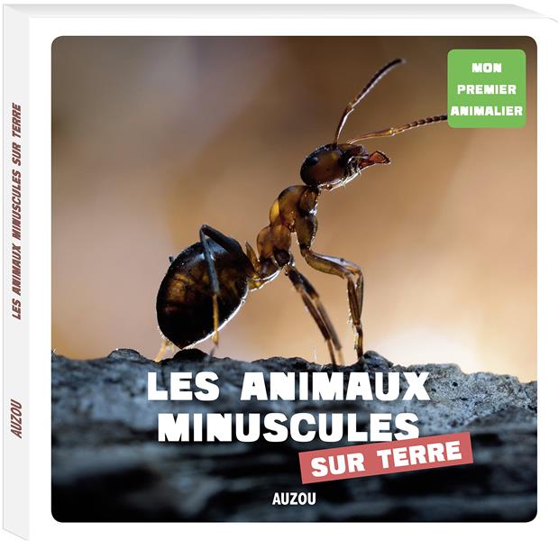 Les animaux minuscules sur terre - flash vidéo