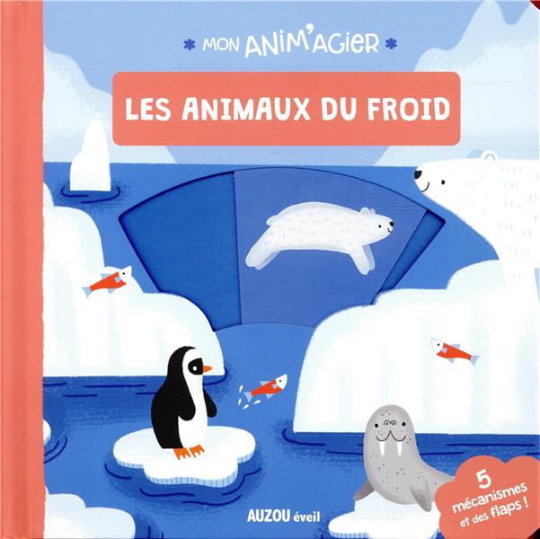 Mon anim'agier : les animaux du froid - flash vidéo