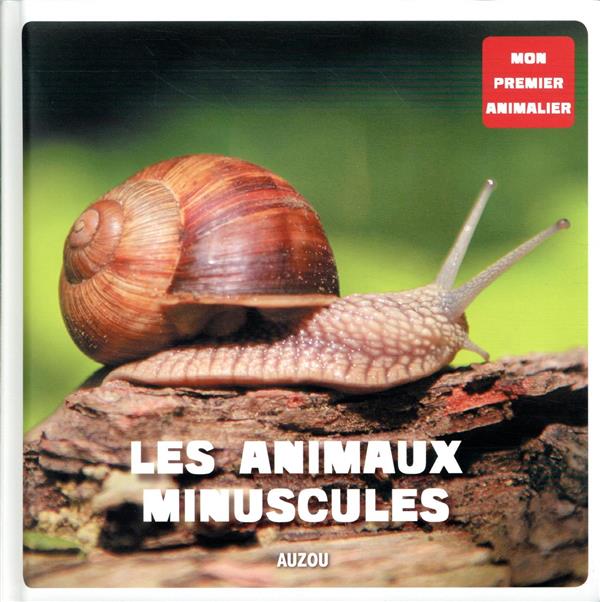 Les animaux minuscules - flash vidéo