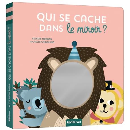 Qui se cache dans le miroir ? - flash vidéo